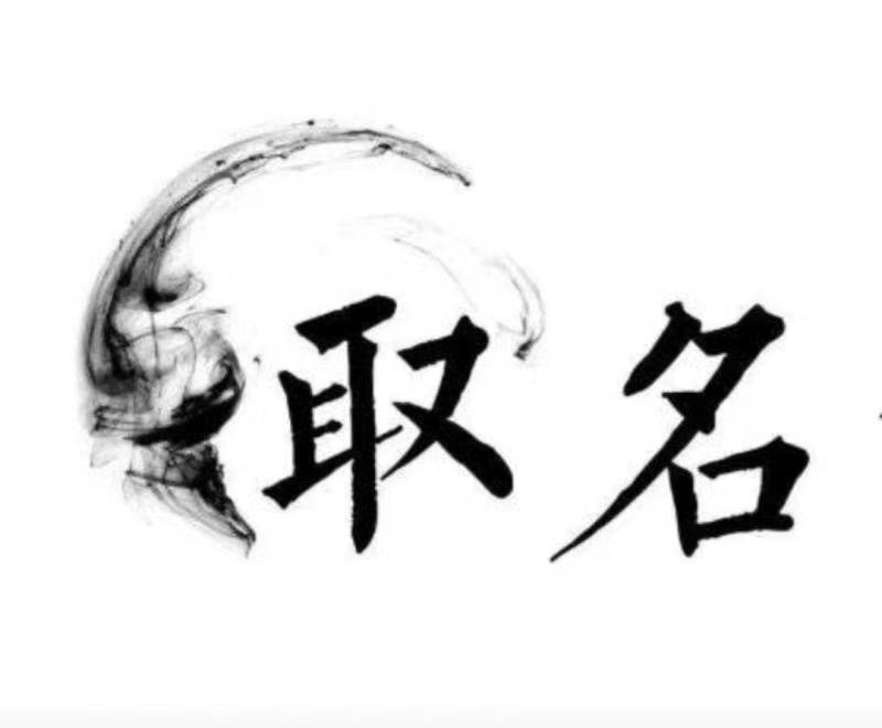  天桥宝宝取名 大师一对一人工起名